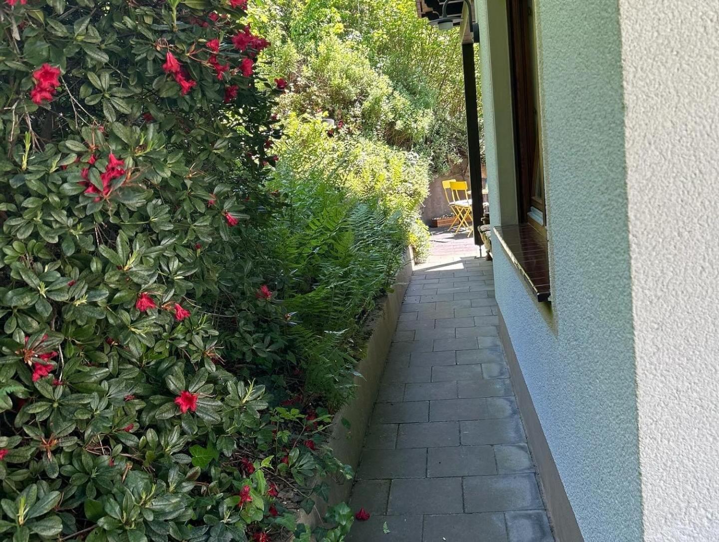 Ferienwohnung Sonneck Altenahr Esterno foto